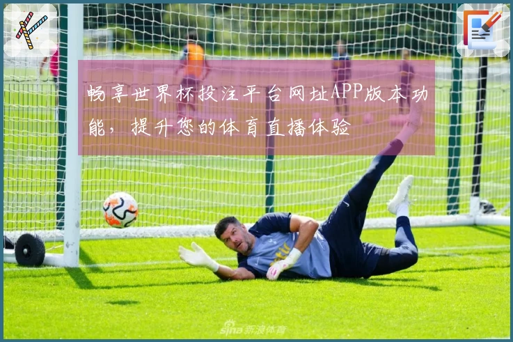 畅享世界杯投注平台网址APP版本功能，提升您的体育直播体验