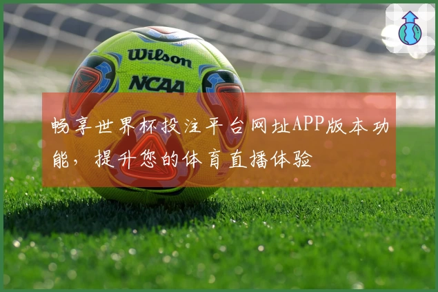 畅享世界杯投注平台网址APP版本功能，提升您的体育直播体验