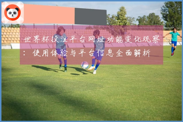 世界杯投注平台网址功能变化观察:使用体验与平台信息全面解析