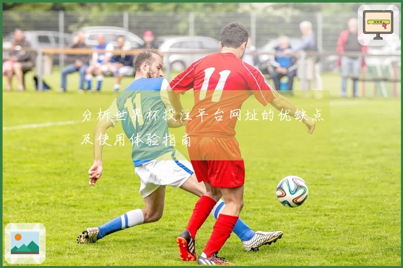 分析世界杯投注平台网址的优缺点及使用体验指南